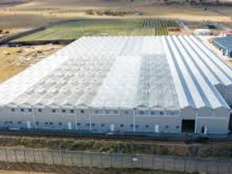 Glasshouse-Headhouse Production Facility